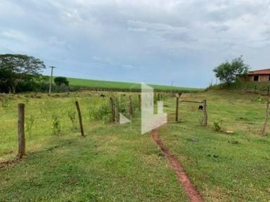 Foto 8 de Sítio / Rancho com 4 quartos à venda, 181500m2 em Itapui - SP