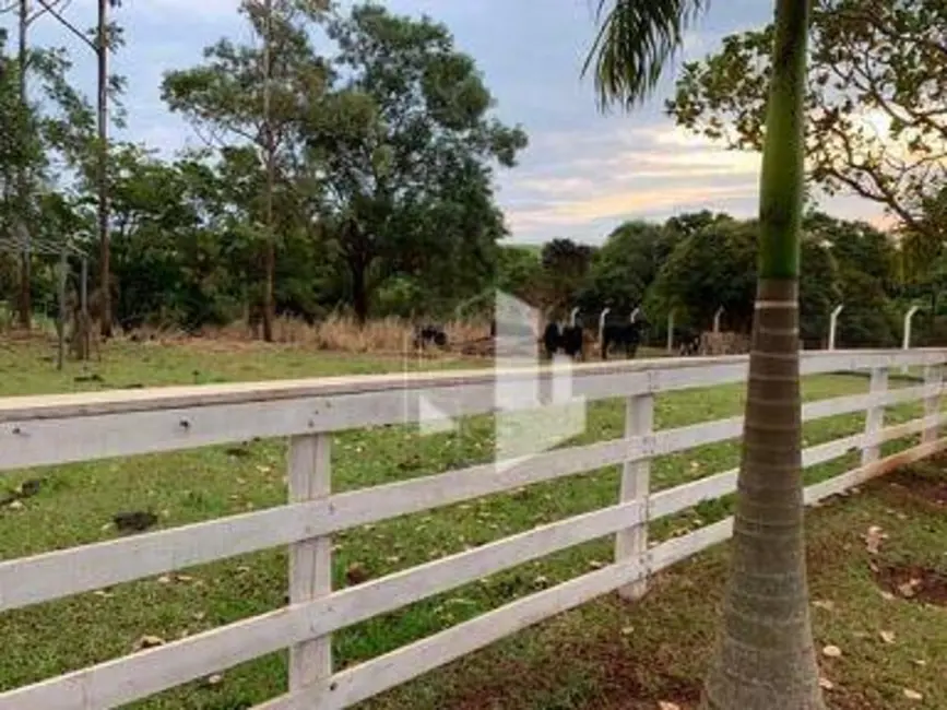 Foto 4 de Sítio / Rancho com 4 quartos à venda, 181500m2 em Itapui - SP