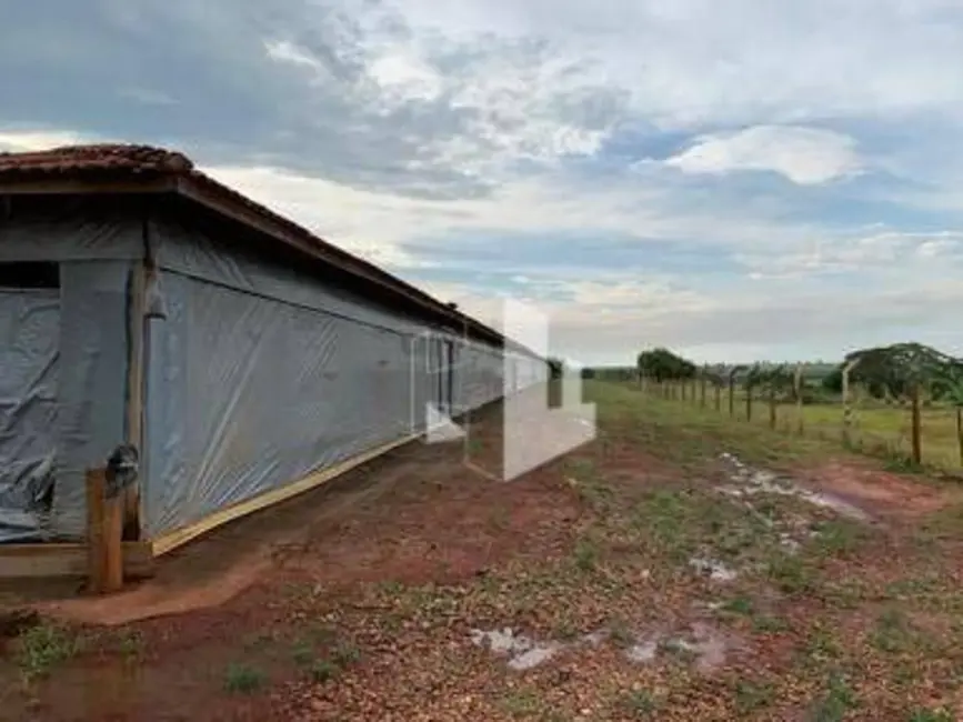Foto 5 de Sítio / Rancho com 4 quartos à venda, 181500m2 em Itapui - SP