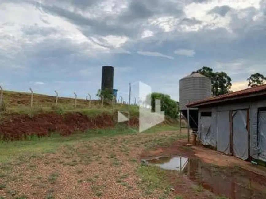 Foto 6 de Sítio / Rancho com 4 quartos à venda, 181500m2 em Itapui - SP