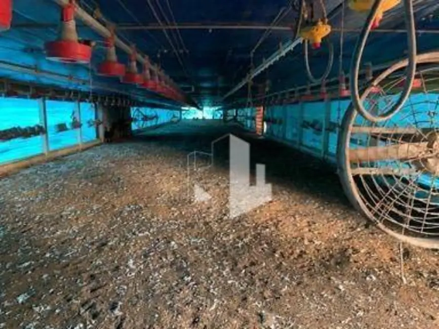 Foto 1 de Sítio / Rancho com 4 quartos à venda, 181500m2 em Itapui - SP