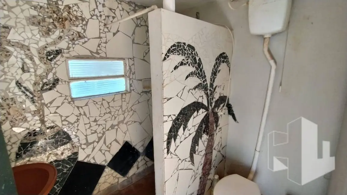 Foto 7 de Chácara com 2 quartos à venda, 2000m2 em Vila Ribeiro, Jau - SP