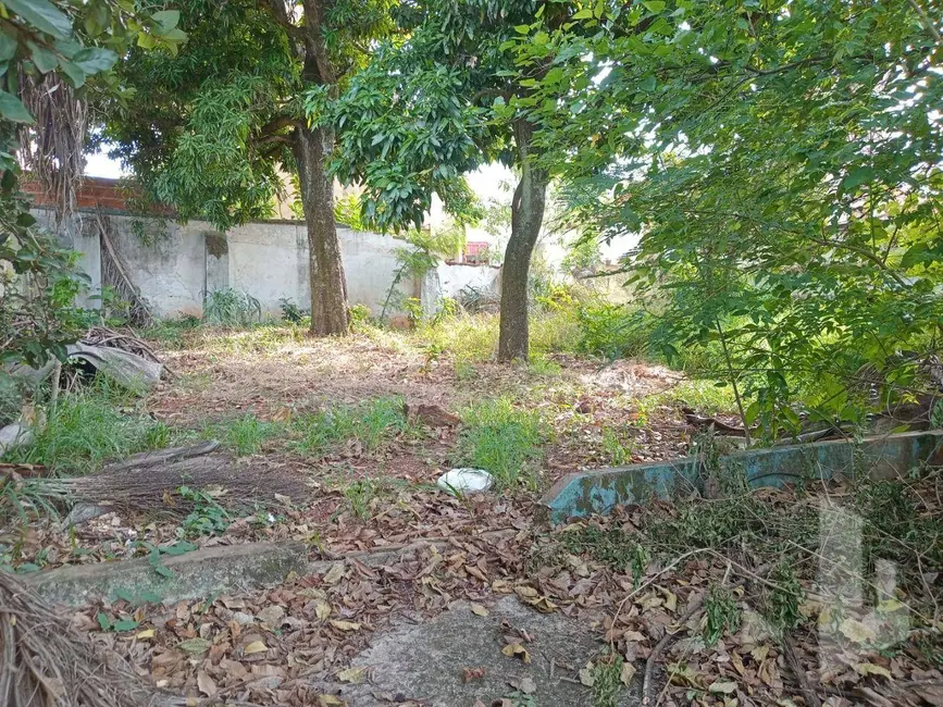 Foto 4 de Casa com 3 quartos à venda, 990m2 em Centro, Jau - SP