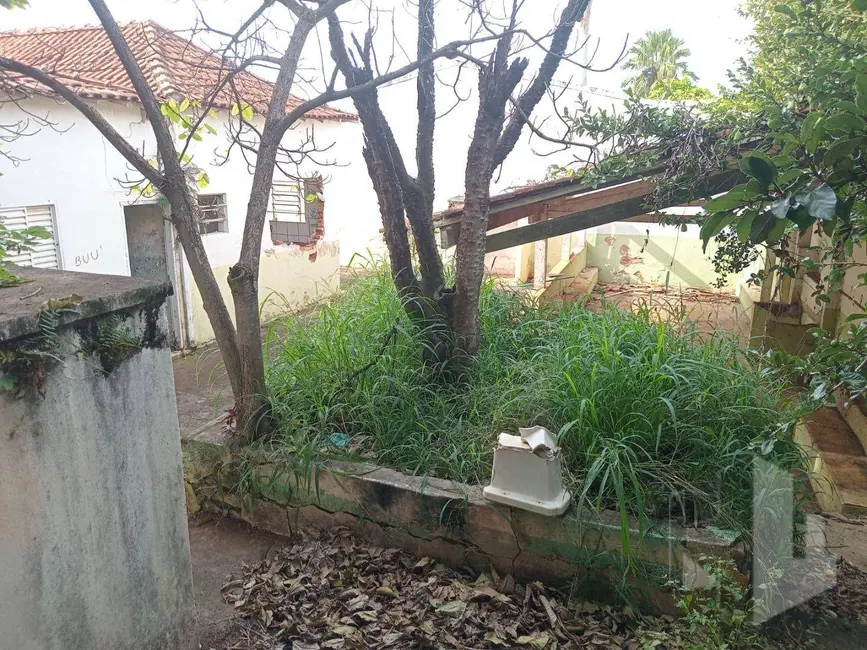 Foto 5 de Casa com 3 quartos à venda, 990m2 em Centro, Jau - SP