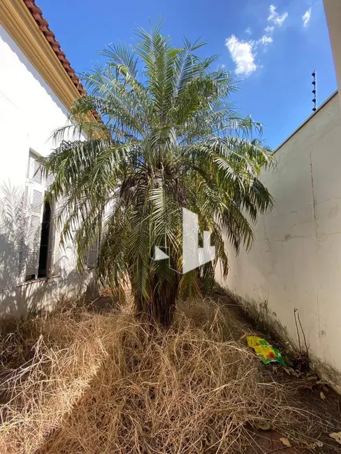 Foto 3 de Casa com 3 quartos à venda, 990m2 em Centro, Jau - SP