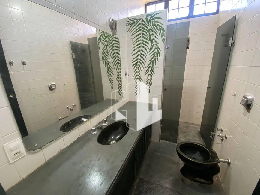 Foto 5 de Casa com 3 quartos para alugar, 350m2 em Jardim Maria Luiza II, Jau - SP