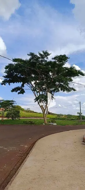 Foto 7 de Terreno / Lote à venda, 600m2 em Jardim América, Jau - SP