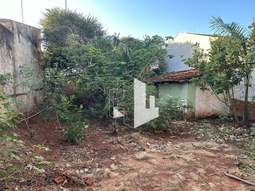 Foto 3 de Casa com 2 quartos à venda, 464m2 em Vila Nova, Jau - SP