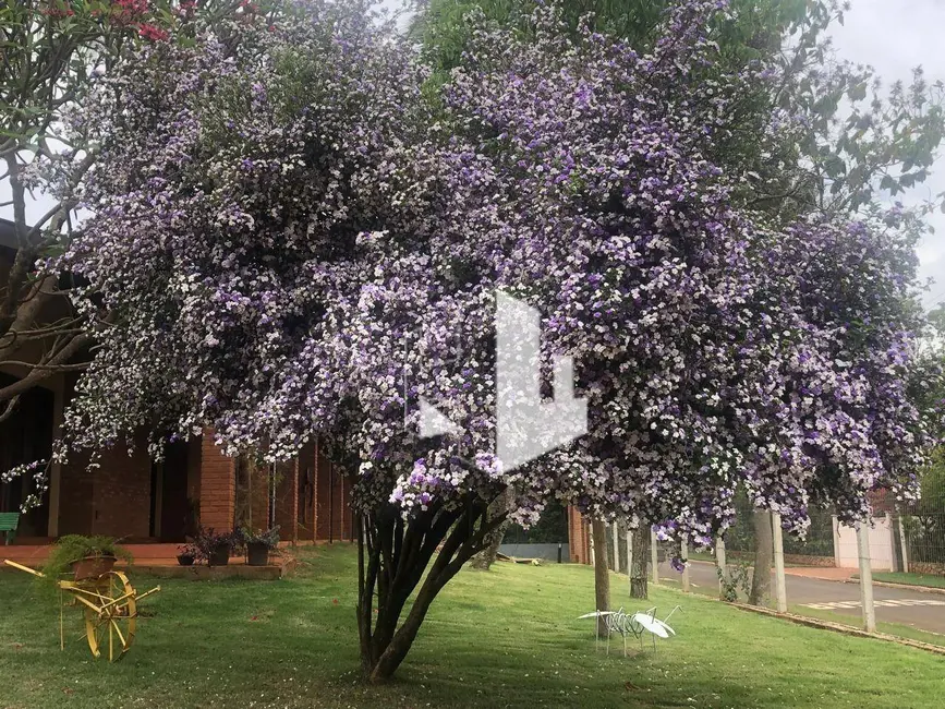 Chácara com 7 quartos para alugar, 5000m2 em Jardim Alvorada, Jau - SP - imagem 7 Foto 7 de Chácara com 7 quartos para alugar, 5000m2 em Jardim Alvorada, Jau - SP
