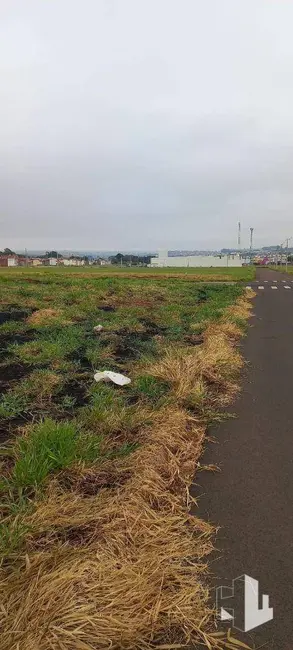 Foto 4 de Terreno / Lote à venda, 250m2 em Jardim América, Jau - SP