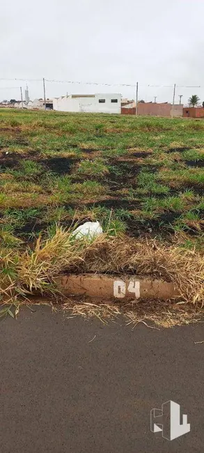 Foto 8 de Terreno / Lote à venda, 250m2 em Jardim América, Jau - SP