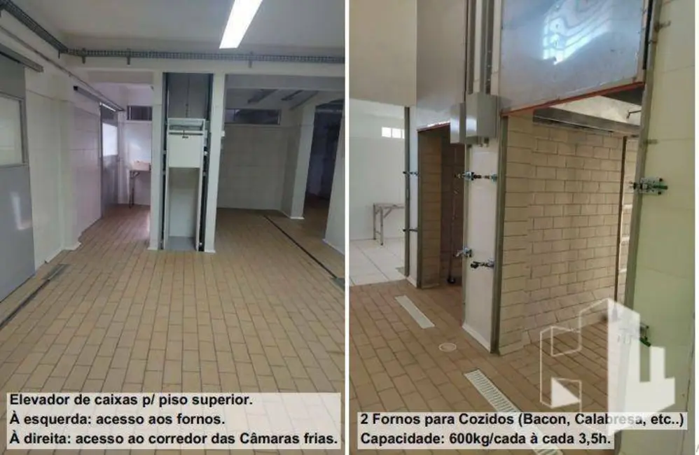 Foto 7 de Armazém / Galpão à venda, 9930m2 em Centro, Itapui - SP