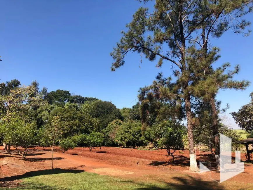 Chácara com 3 quartos à venda, 8000m2 em Itapui - SP - imagem 6 Foto 6 de Chácara com 3 quartos à venda, 8000m2 em Itapui - SP