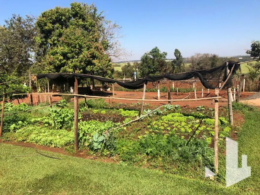 Chácara com 3 quartos à venda, 8000m2 em Itapui - SP - imagem 5 Foto 5 de Chácara com 3 quartos à venda, 8000m2 em Itapui - SP