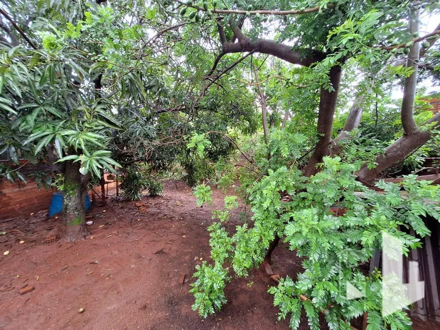 Casa com 1 quarto à venda, 476m2 em Jardim Conde Pinhal I, Jau - SP - imagem 6 Foto 6 de Casa com 1 quarto à venda, 476m2 em Jardim Conde Pinhal I, Jau - SP
