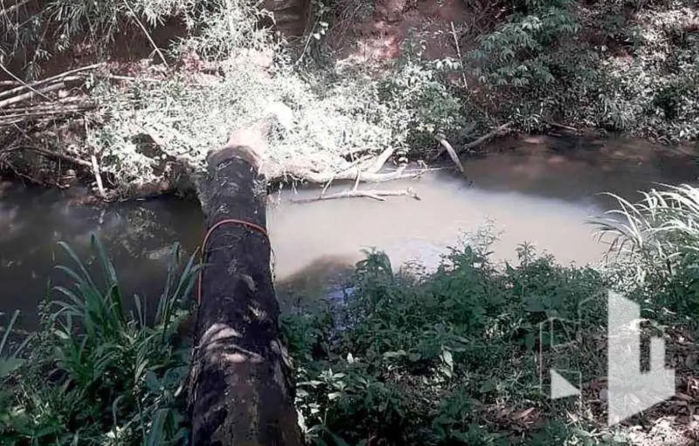 Foto 1 de Chácara com 2 quartos à venda, 5000m2 em Bocaina - SP