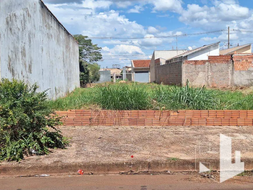 Foto 1 de Terreno / Lote à venda, 250m2 em Jardim Nova Jaú, Jau - SP