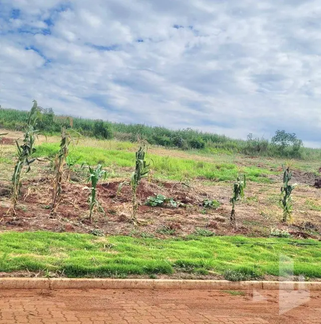 Foto 3 de Terreno / Lote à venda, 1000m2 em Jau - SP