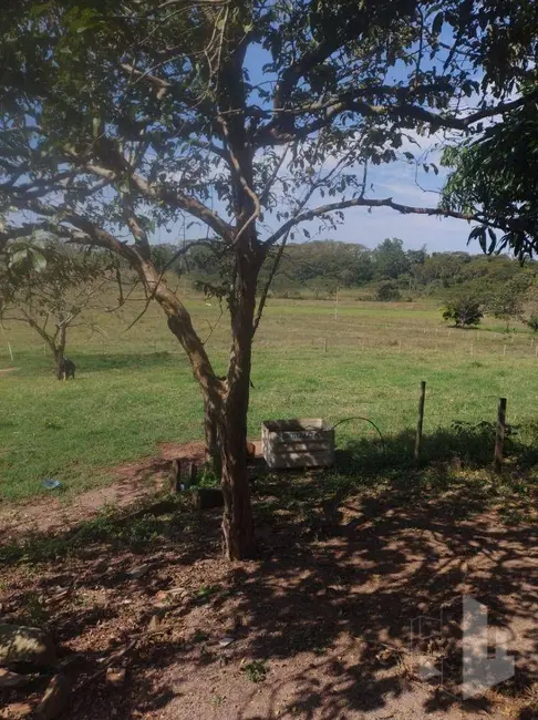 Foto 6 de Sítio / Rancho à venda, 919599m2 em Santa Rita Do Passa Quatro - SP
