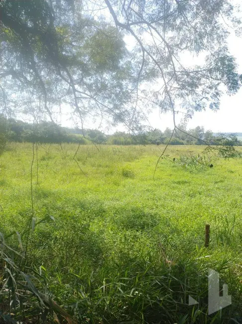 Foto 8 de Sítio / Rancho à venda, 919599m2 em Santa Rita Do Passa Quatro - SP