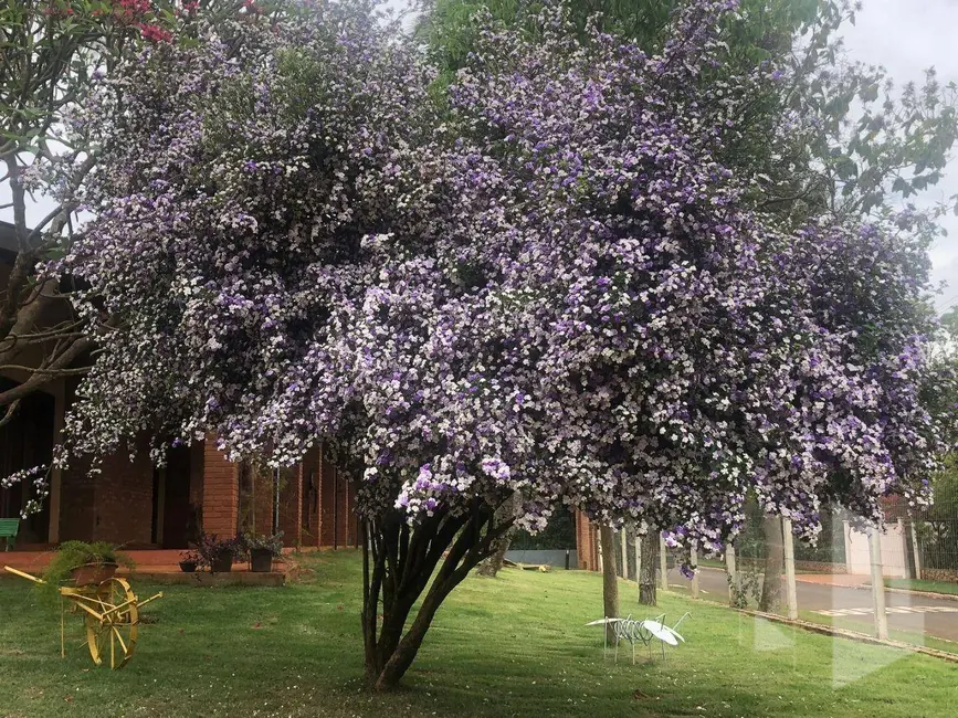Foto 5 de Casa com 7 quartos à venda, 5000m2 em Jardim Alvorada, Jau - SP