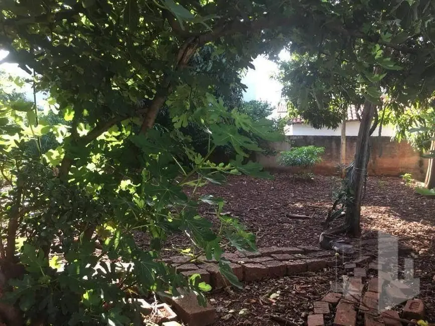 Foto 2 de Casa com 2 quartos à venda, 1636m2 em Vila Assis, Jau - SP