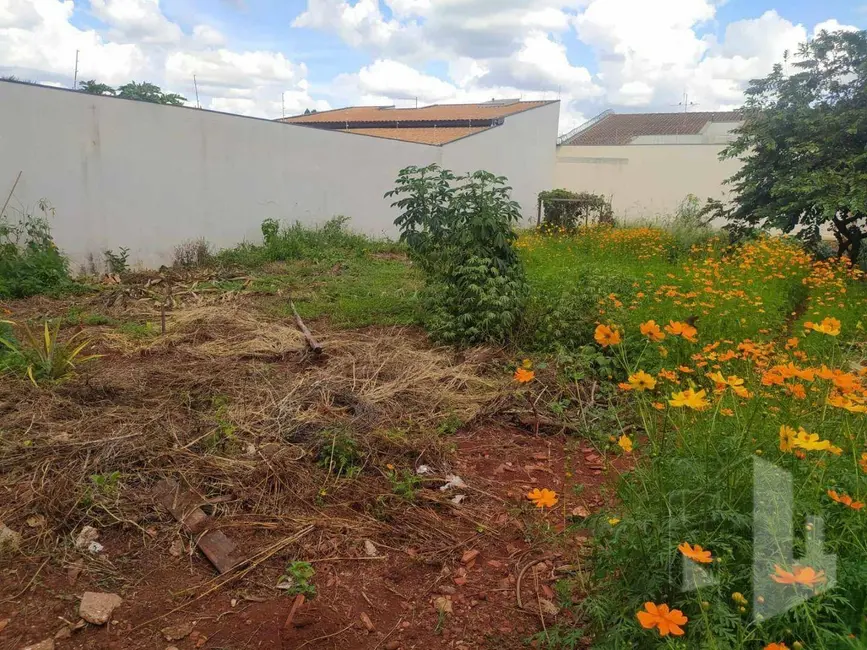 Foto 1 de Terreno / Lote à venda, 345m2 em Jardim Maria Luiza II, Jau - SP