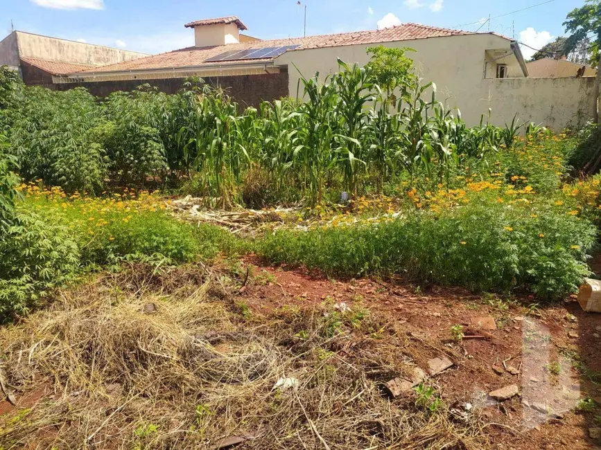 Foto 3 de Terreno / Lote à venda, 345m2 em Jardim Maria Luiza II, Jau - SP