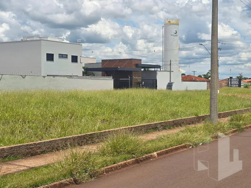 Foto 2 de Terreno / Lote à venda, 336m2 em Jardim Europa, Jau - SP