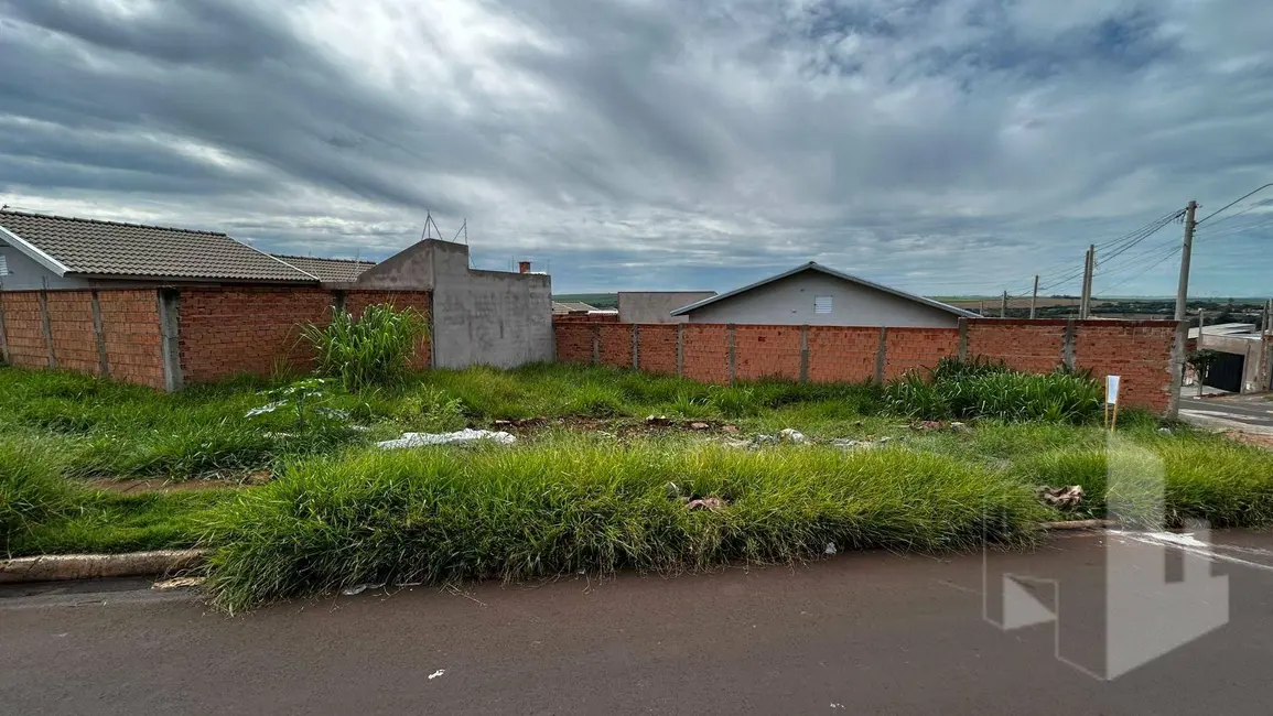 Foto 2 de Terreno / Lote à venda, 219m2 em Residencial Frei Galvão, Jau - SP