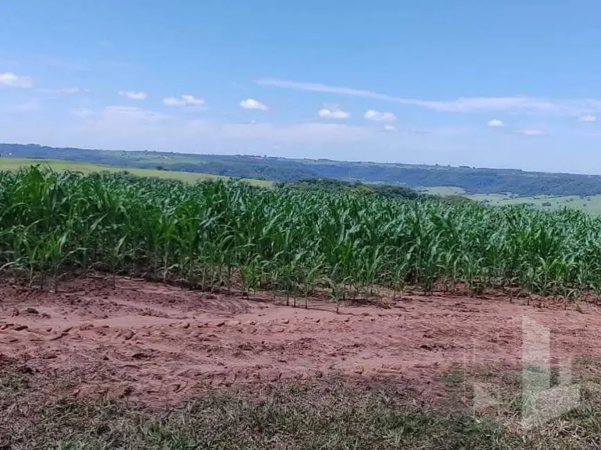 Foto 8 de Fazenda / Haras à venda, 4053500m2 em Garca - SP