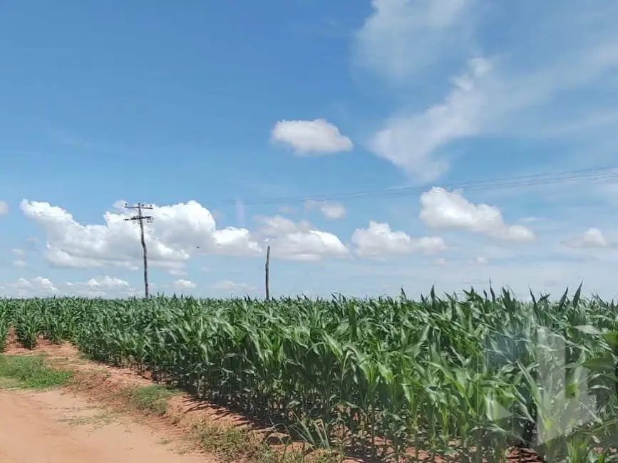 Foto 6 de Fazenda / Haras à venda, 4053500m2 em Garca - SP
