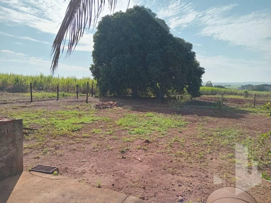 Foto 6 de Chácara com 1 quarto à venda, 1000m2 em Centro, Jau - SP