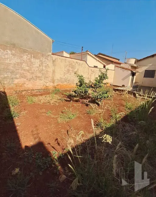 Foto 8 de Casa com 2 quartos à venda, 250m2 em Vila Nova Jaú, Jau - SP