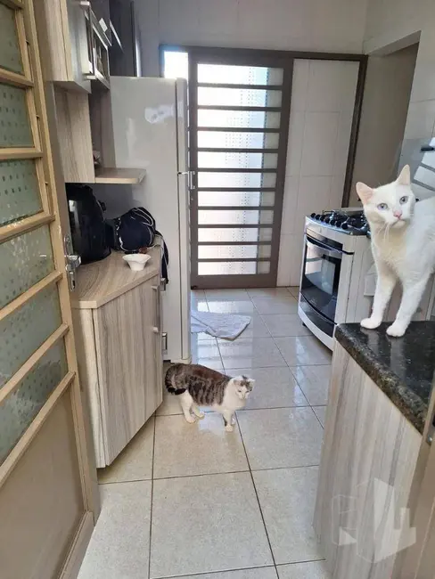 Foto 4 de Casa com 3 quartos à venda, 150m2 em Jardim Dona Emília, Jau - SP