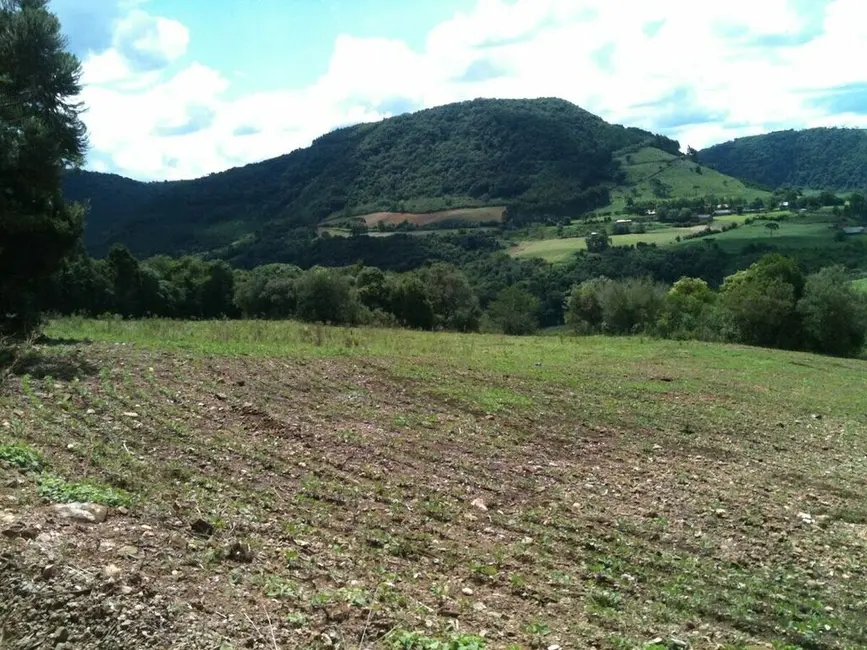 Fazenda / Haras à venda, 82160m2 em Sao Jorge - RS - imagem 9 Foto 9 de Fazenda / Haras à venda, 82160m2 em Sao Jorge - RS