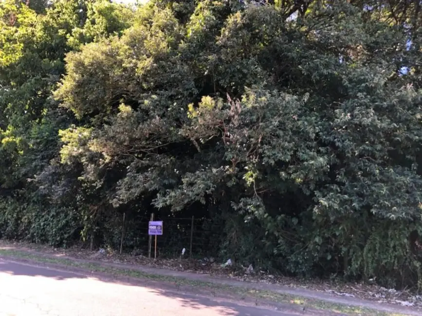 Foto 3 de Terreno / Lote à venda, 46000m2 em Vila Nova, Porto Alegre - RS