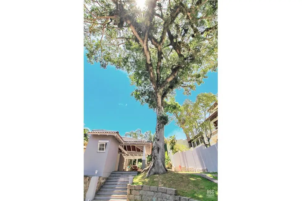 Casa com 3 quartos à venda, 250m2 em Ipanema, Porto Alegre - RS - imagem 9 Foto 9 de Casa com 3 quartos à venda, 250m2 em Ipanema, Porto Alegre - RS