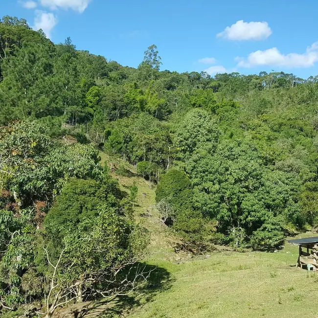 Foto 9 de Fazenda / Haras à venda, 431637m2 em Aguas Mornas - SC