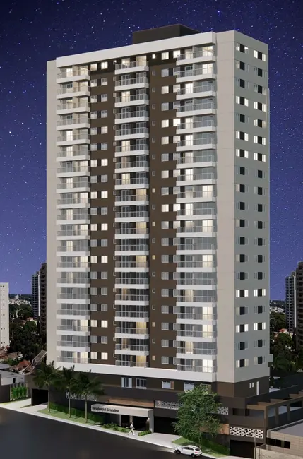 Foto 1 de Apartamento com 2 quartos à venda, 36m2 em Parque das Paineiras, São Paulo - SP