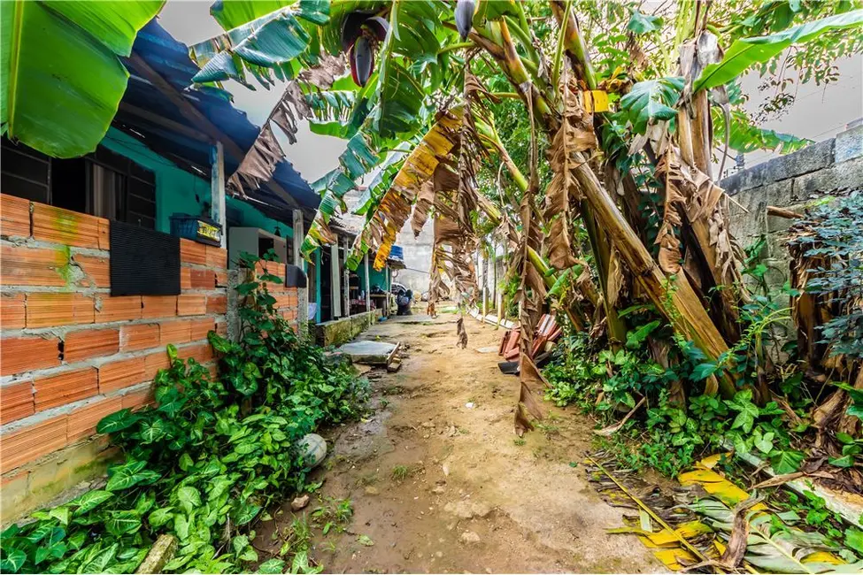 Foto 7 de Terreno / Lote à venda, 257m2 em Parque Boa Esperança, São Paulo - SP