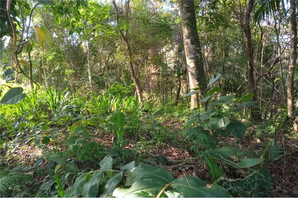 Foto 3 de Terreno / Lote à venda, 656m2 em Granja Viana II, Cotia - SP
