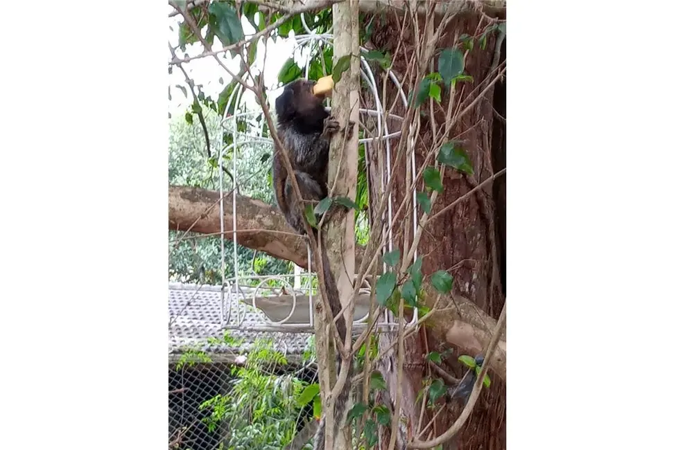 Foto 9 de Terreno / Lote à venda, 656m2 em Granja Viana II, Cotia - SP