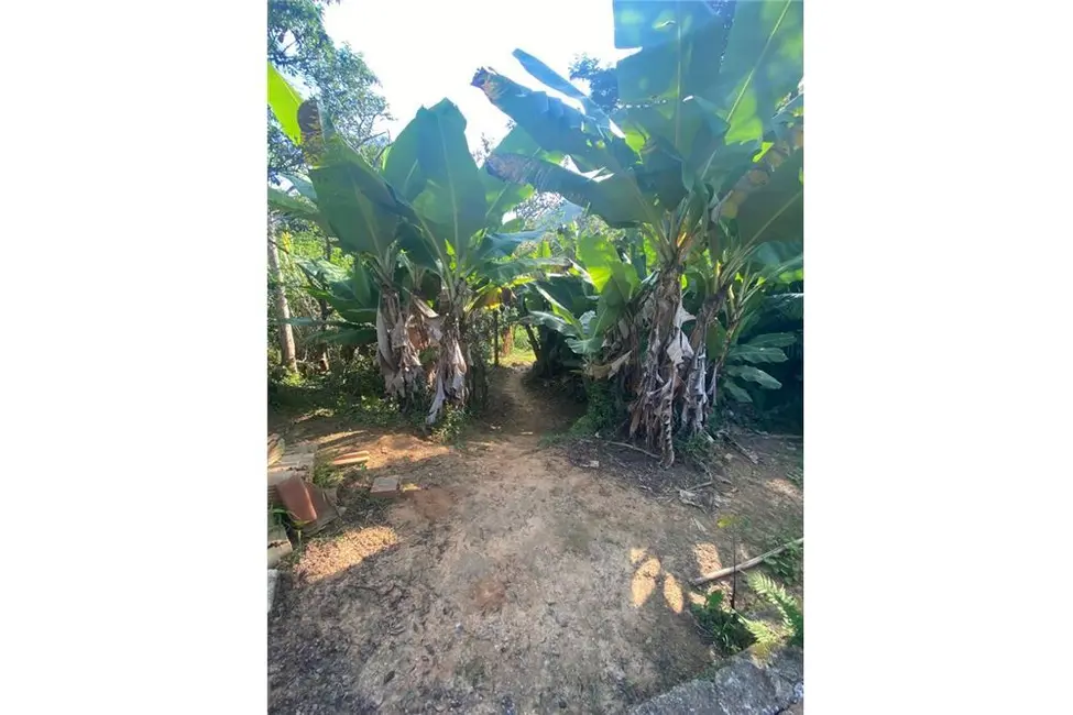 Fazenda / Haras com 3 quartos à venda, 45000m2 em Taboão, Taubate - SP - imagem 6 Foto 6 de Fazenda / Haras com 3 quartos à venda, 45000m2 em Taboão, Taubate - SP