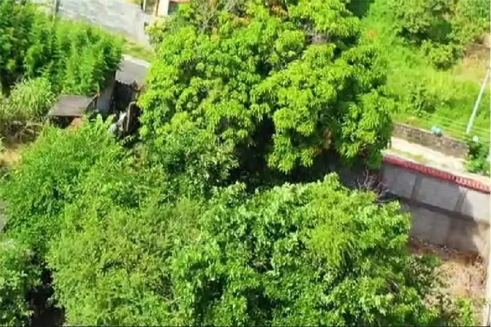 Terreno / Lote à venda, 300m2 em Vila Doutor João Batista (Parte Alta), Cruzeiro - SP - imagem 6 Foto 6 de Terreno / Lote à venda, 300m2 em Vila Doutor João Batista (Parte Alta), Cruzeiro - SP