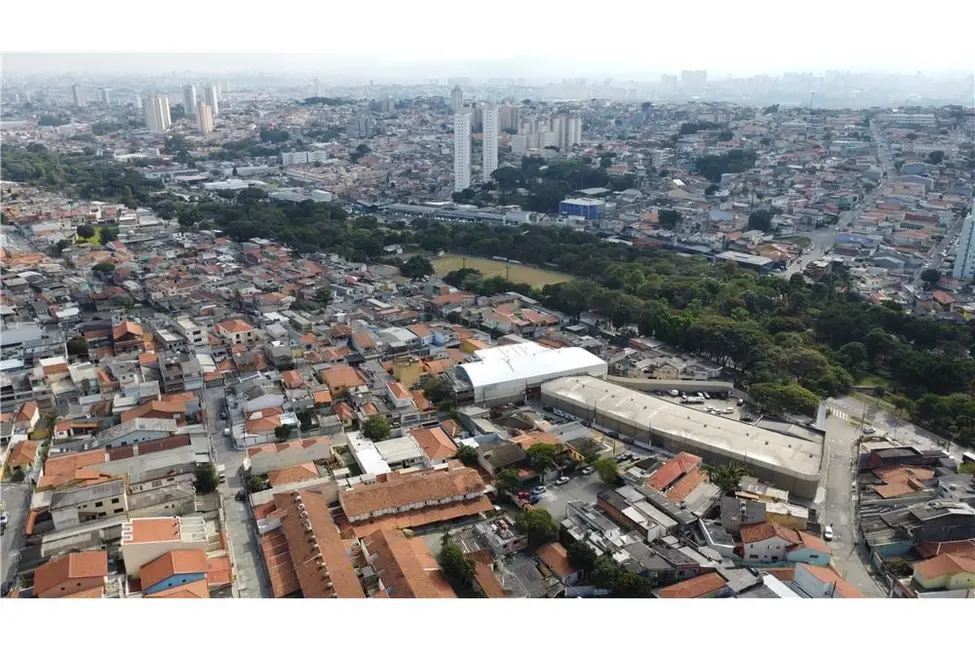 Terreno / Lote à venda, 800m2 em Vila Marieta, São Paulo - SP - imagem 5 Foto 5 de Terreno / Lote à venda, 800m2 em Vila Marieta, São Paulo - SP