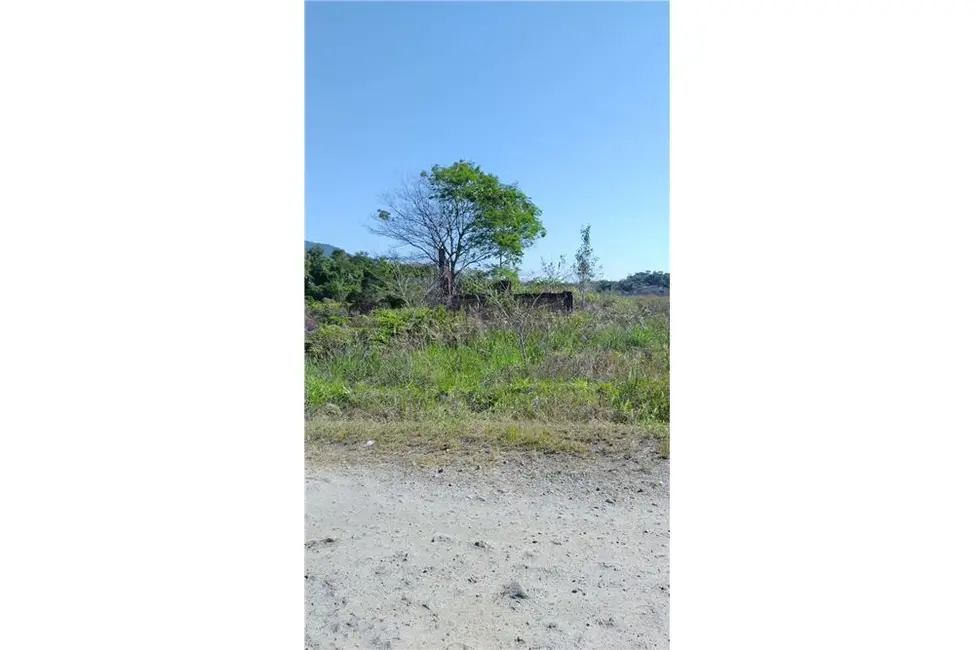 Terreno / Lote à venda, 1335m2 em Peruibe - SP - imagem 7 Foto 7 de Terreno / Lote à venda, 1335m2 em Peruibe - SP