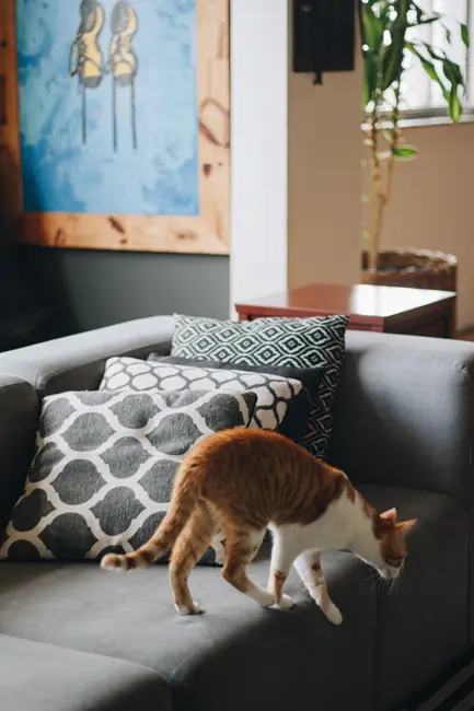 Foto 6 de Apartamento com 3 quartos à venda, 204m2 em Independência, Porto Alegre - RS