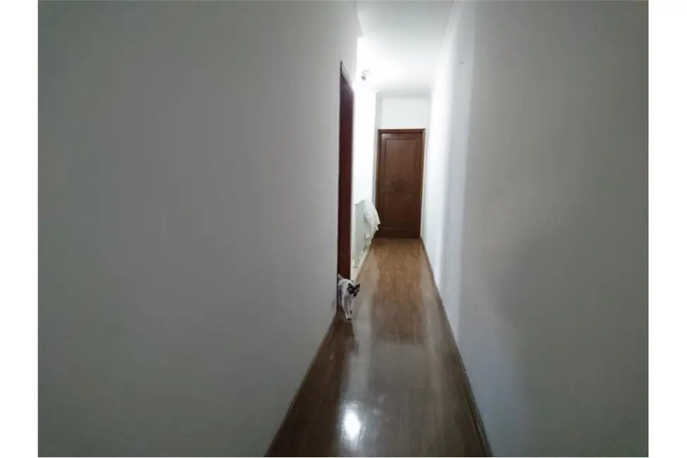 Casa com 4 quartos à venda, 200m2 em Vila Mascote, São Paulo - SP - imagem 4 Foto 4 de Casa com 4 quartos à venda, 200m2 em Vila Mascote, São Paulo - SP