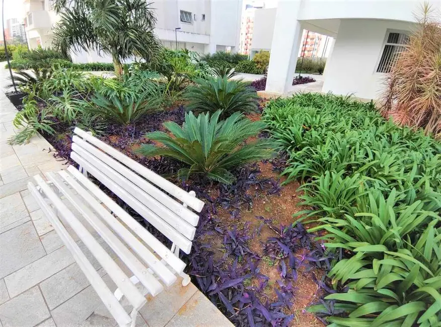 Apartamento com 3 quartos à venda, 78m2 em Santana, São Paulo - SP - imagem 7 Foto 7 de Apartamento com 3 quartos à venda, 78m2 em Santana, São Paulo - SP